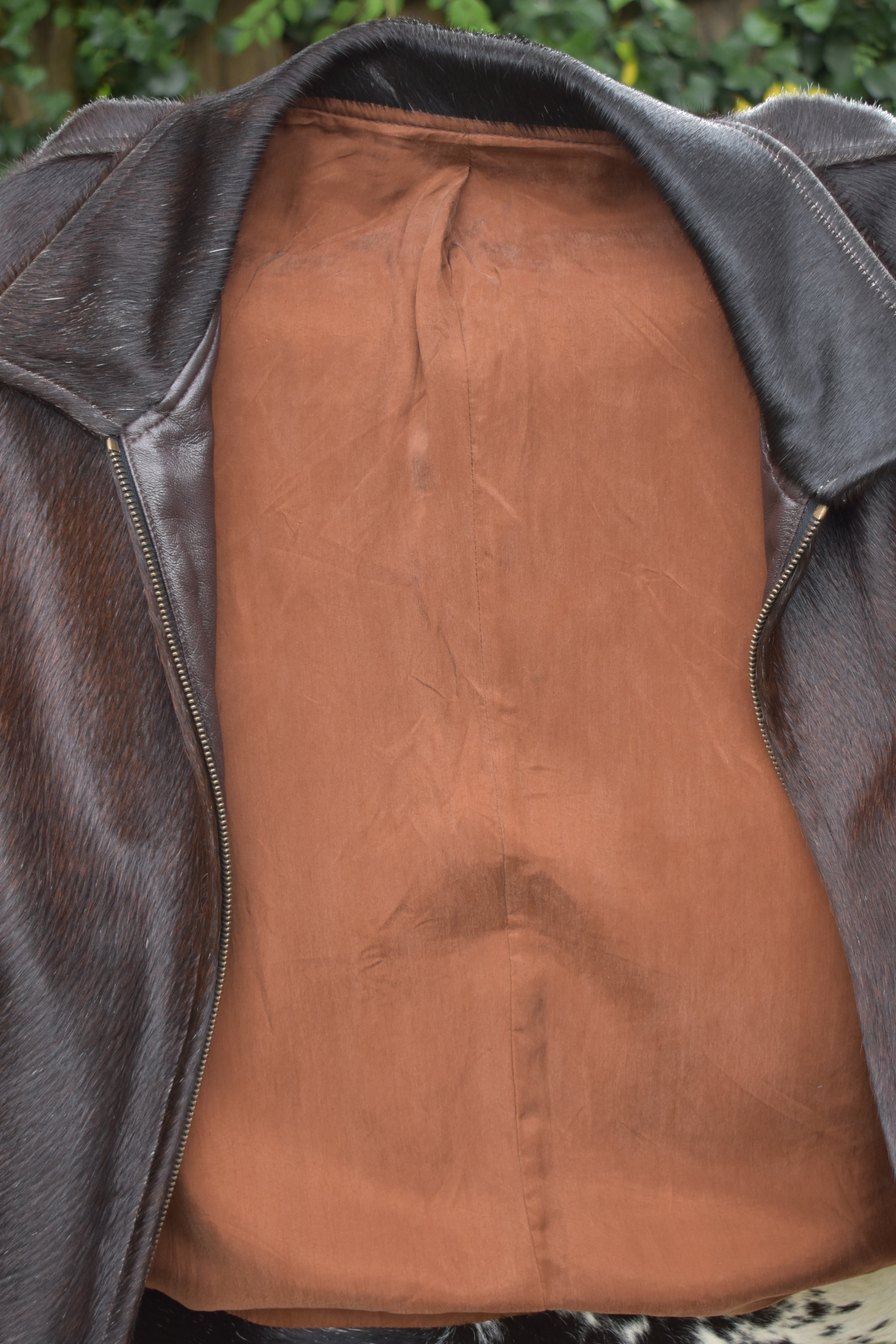 The Single Shot (Sample)