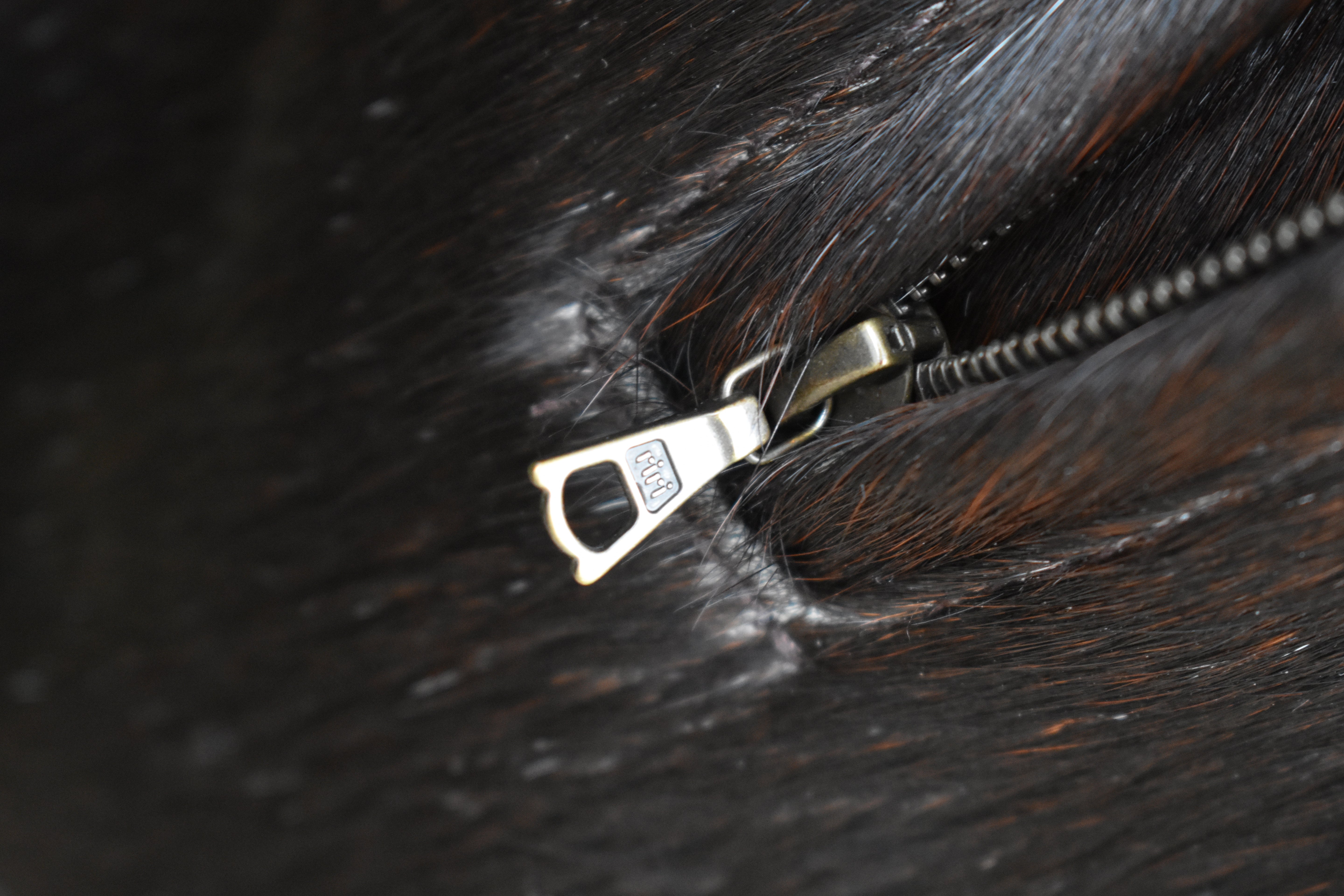 The Single Shot (Sample)